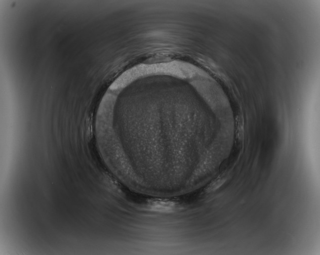 X0000083530471200703091516