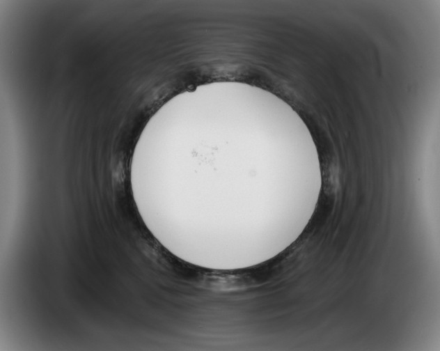 X0000083530472200703091516