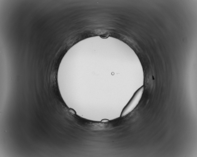 X0000083530473200703091516