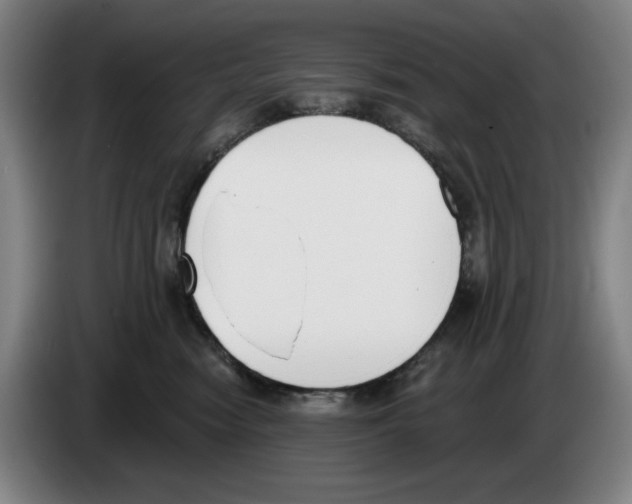 X0000083530474200703091516