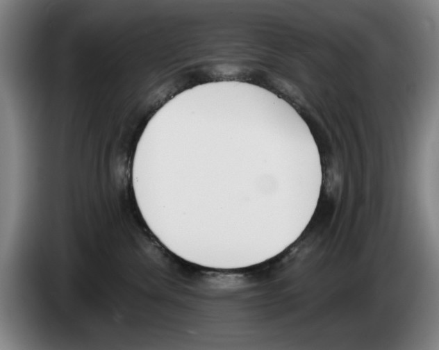 X0000083530476200703091516