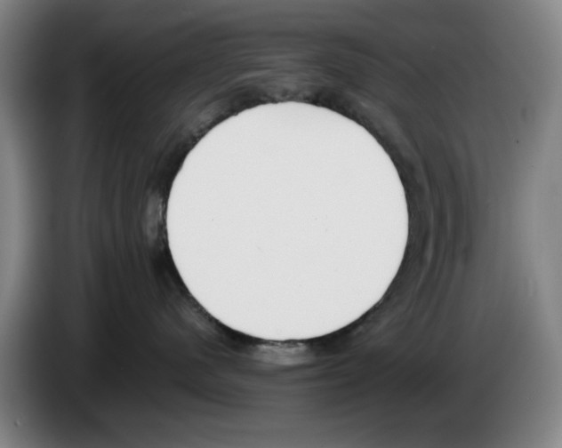 X0000083530480200703091516