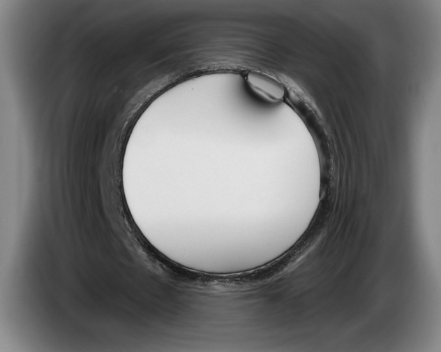 X0000083530481200703091515