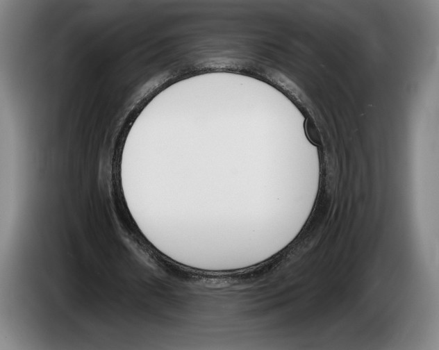 X0000083530482200703091515