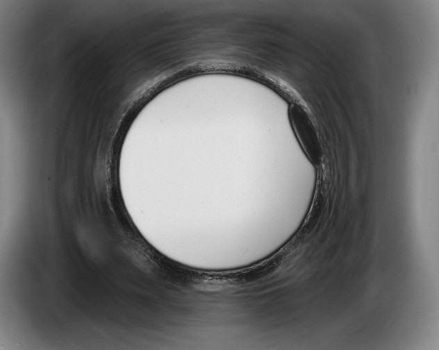 X0000083530487200703091515