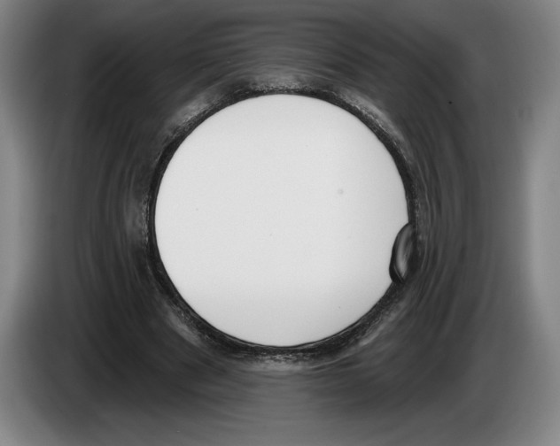 X0000083530489200703091515