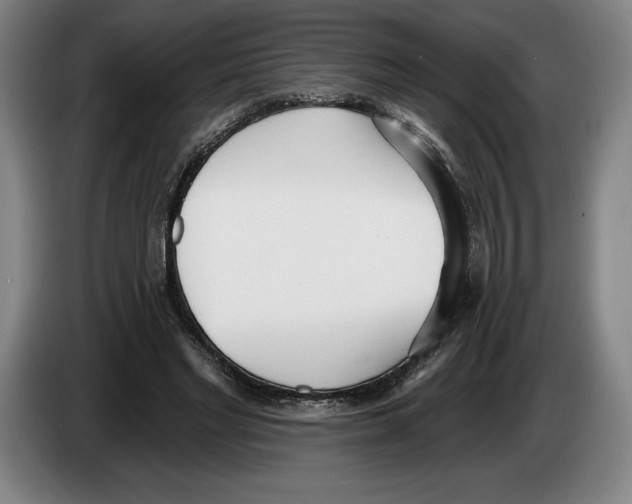 X0000083530493200703091515