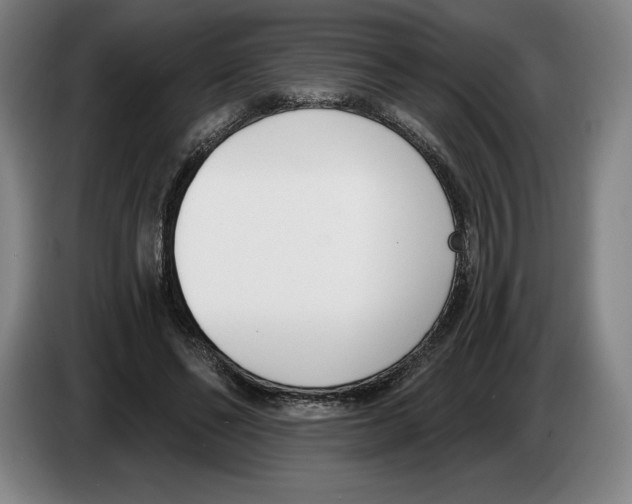 X0000083530494200703091515