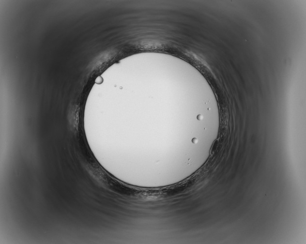 X0000083530495200703091515