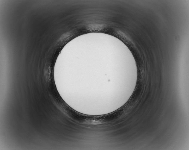 X0000083530498200703091515