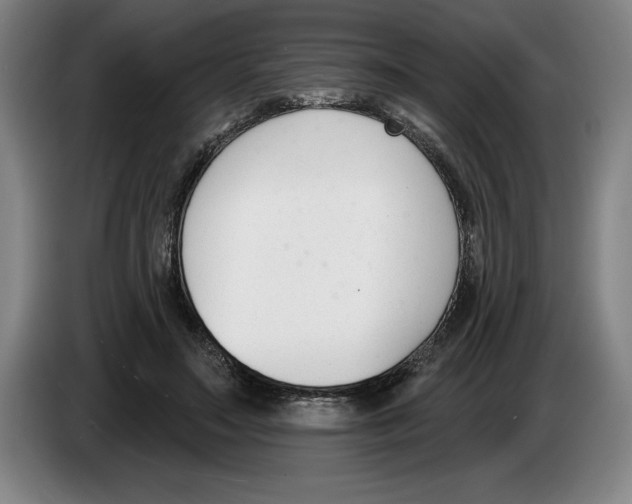 X0000083530499200703091515