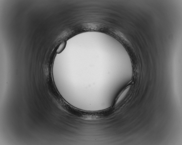 X0000083530500200703091515