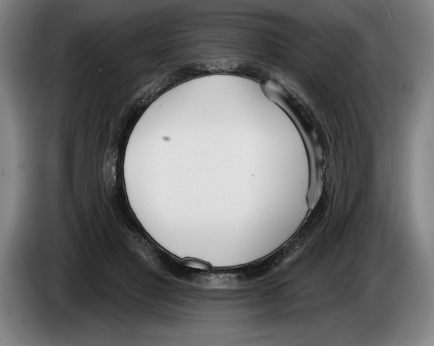 X0000083530501200703091515