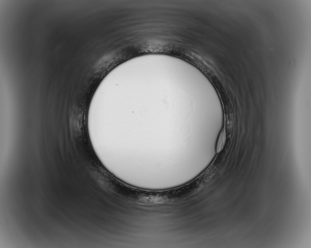 X0000083530503200703091515