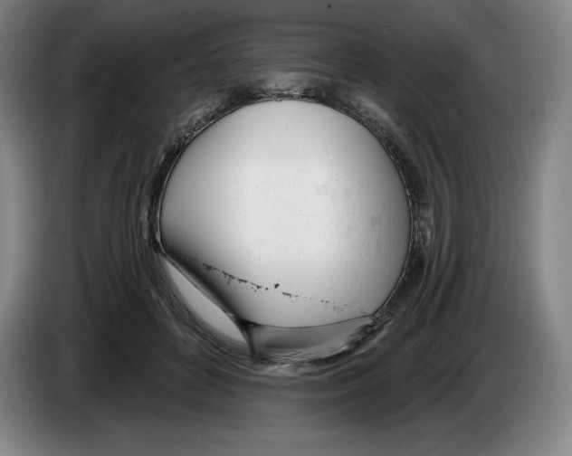 X0000083530504200703091515