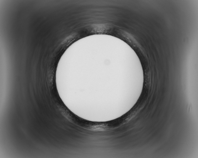 X0000083530505200703091515