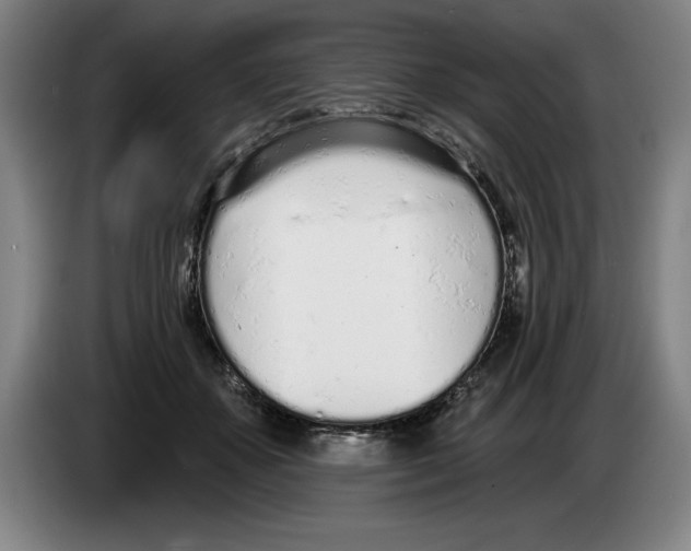 X0000083530507200703091515