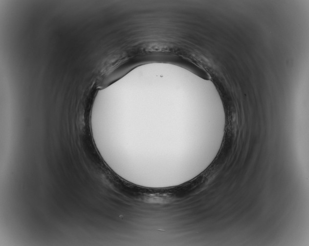 X0000083530508200703091515