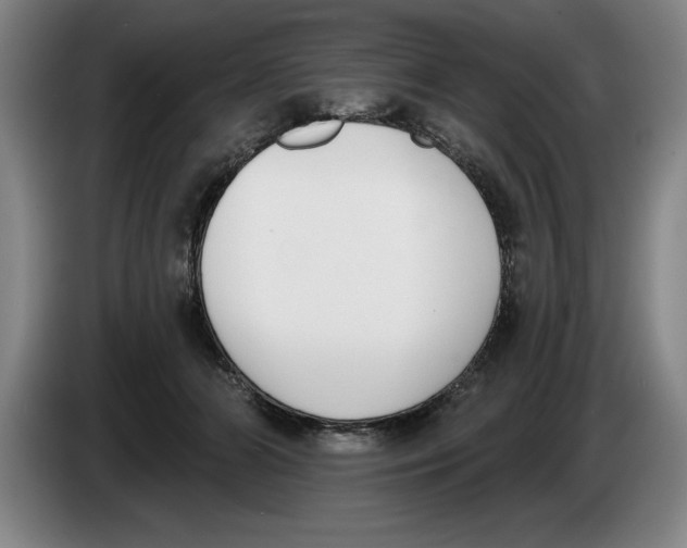 X0000083530510200703091515