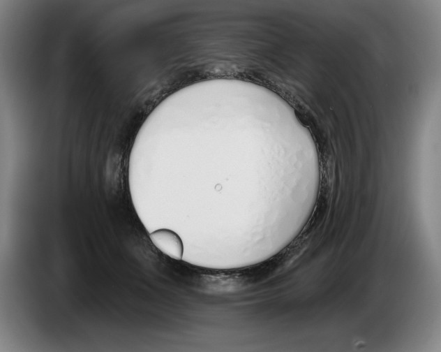 X0000083530511200703091515