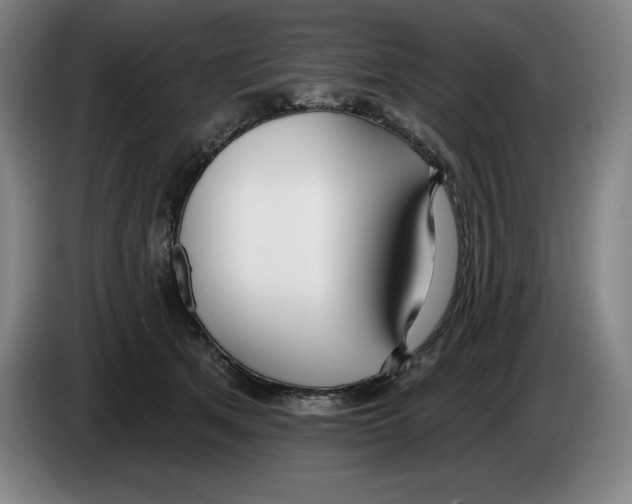 X0000083530513200703091515