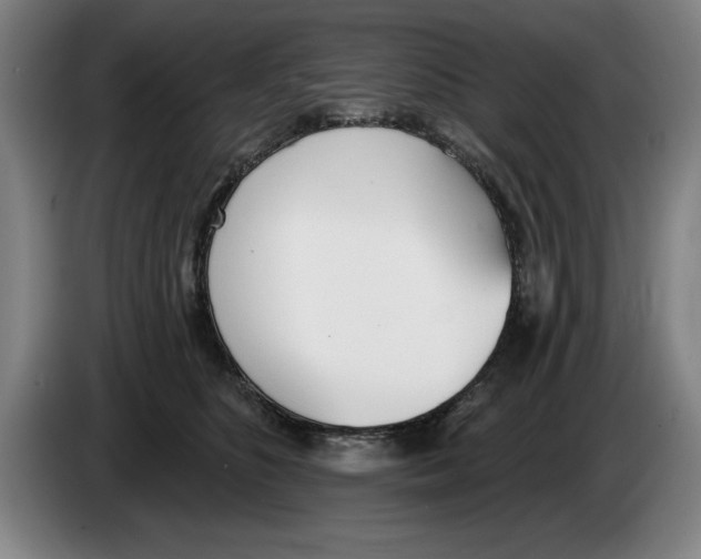 X0000083530516200703091514