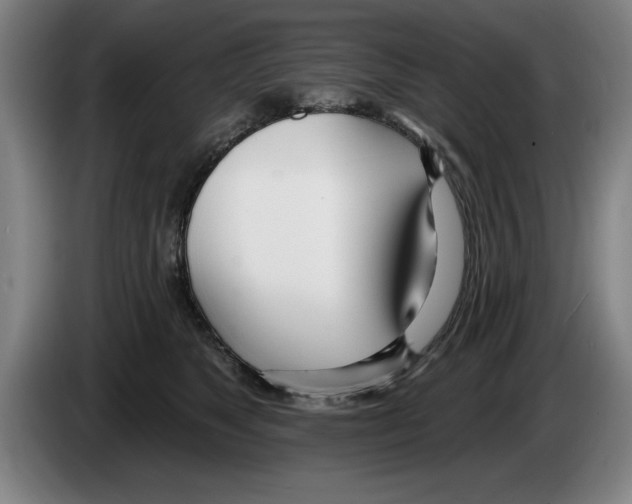 X0000083530517200703091514