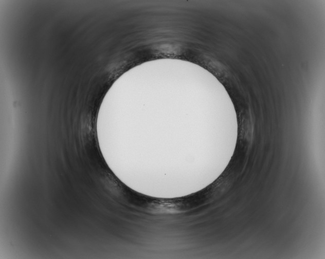 X0000083530518200703091514