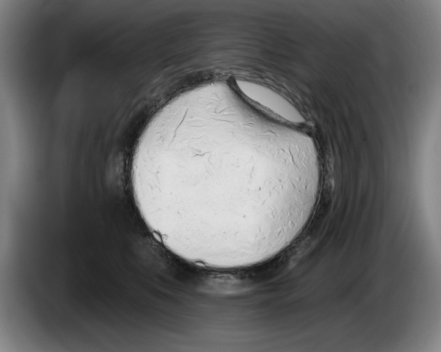 X0000083530519200703091514