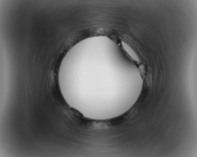 X0000083530520200703091514