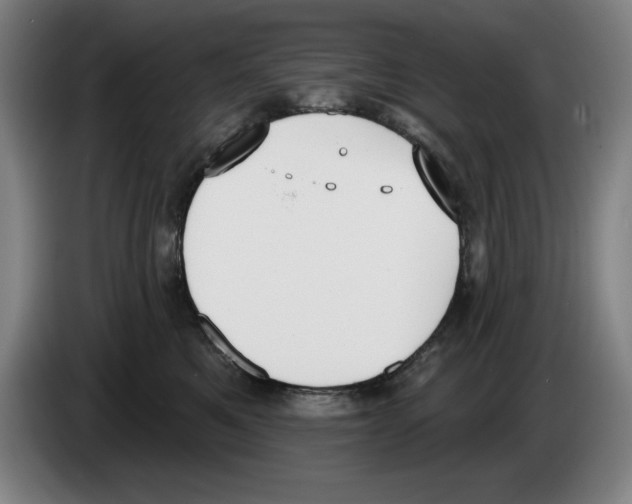 X0000083530521200703091514