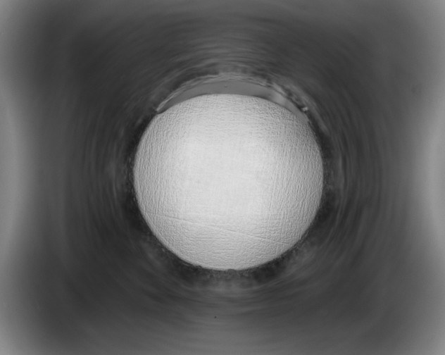 X0000083530524200703091514