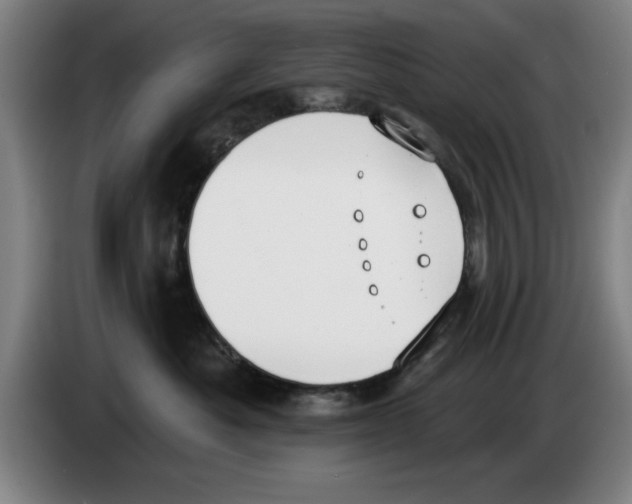 X0000083530525200703091514