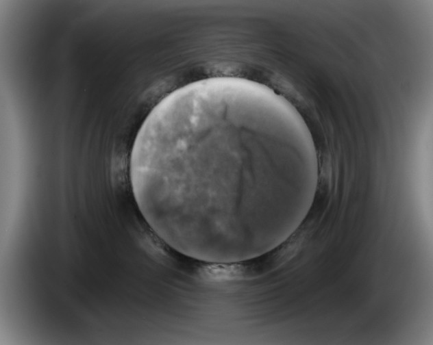 X0000083530526200703091514