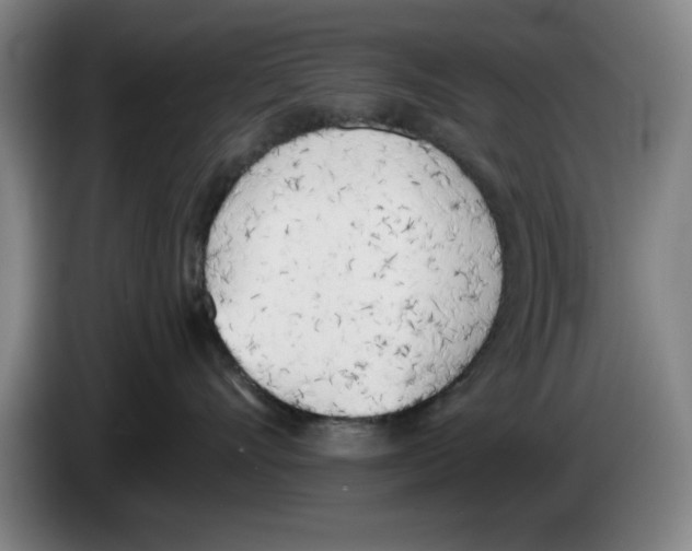 X0000083530528200703091514
