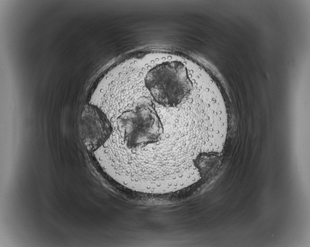 X0000083530529200703091514