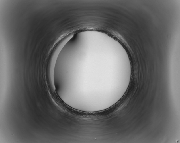 X0000083530530200703091514