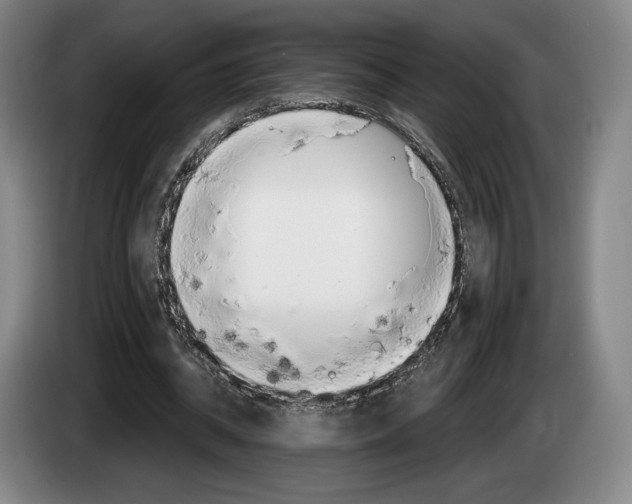 X0000083530534200703091514