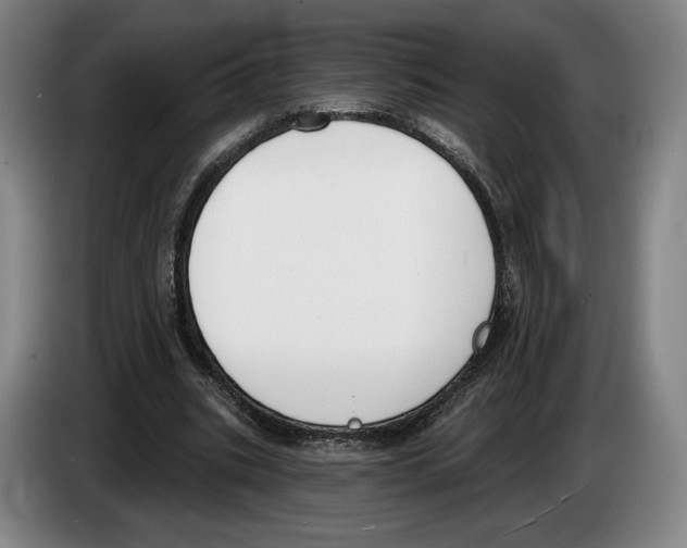 X0000083530535200703091514