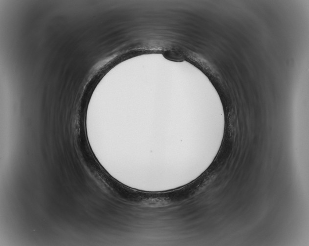 X0000083530536200703091514