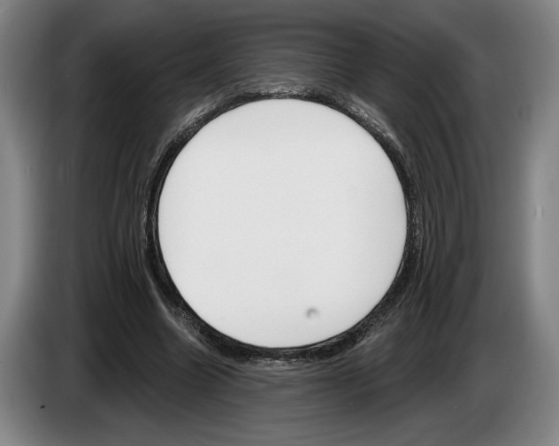 X0000083530538200703091514