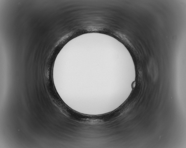 X0000083530539200703091514