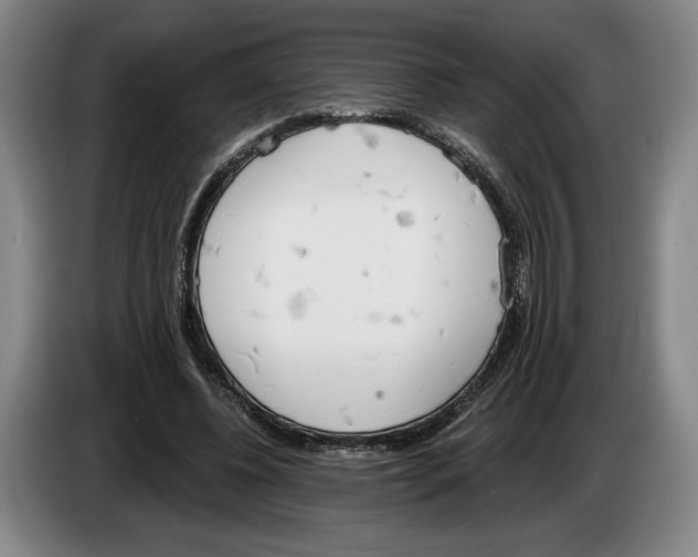 X0000083530540200703091514