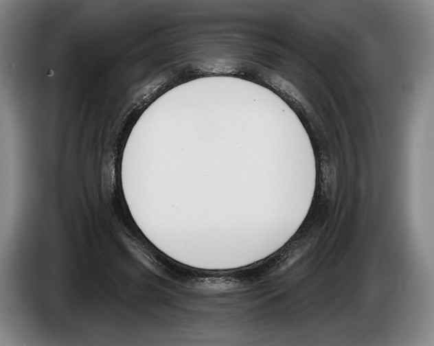 X0000083530541200703091514