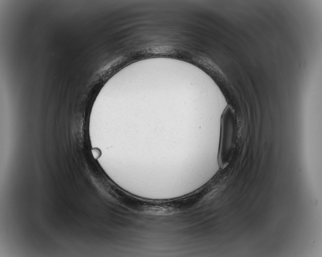 X0000083530542200703091514