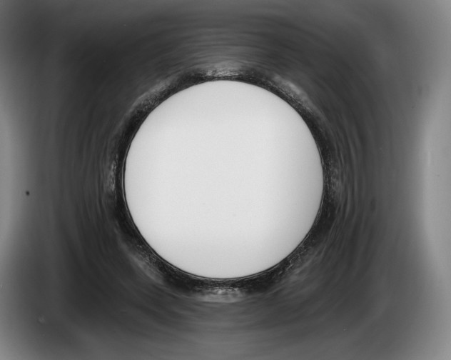 X0000083530543200703091514