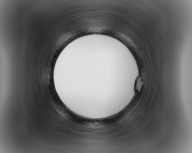 X0000083530544200703091514