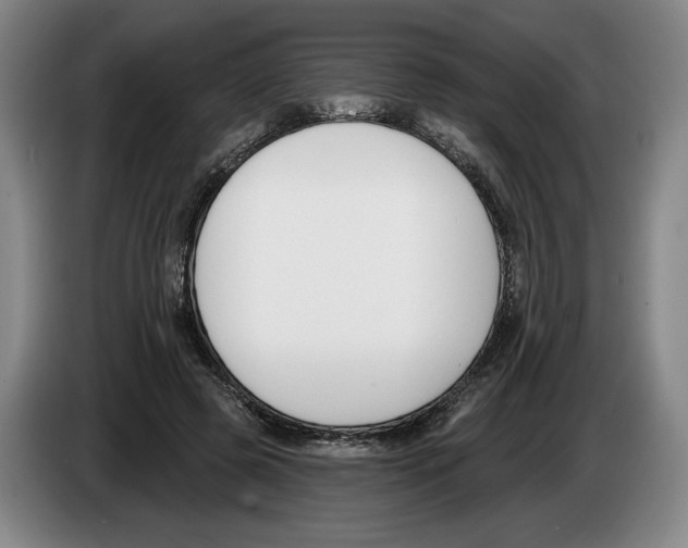 X0000083530545200703091514