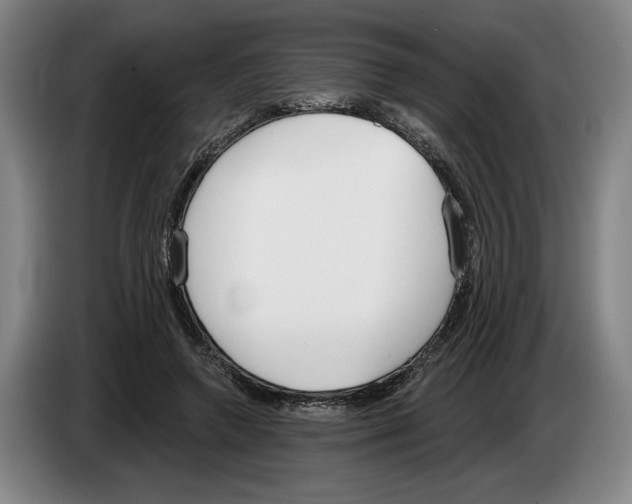 X0000083530546200703091514