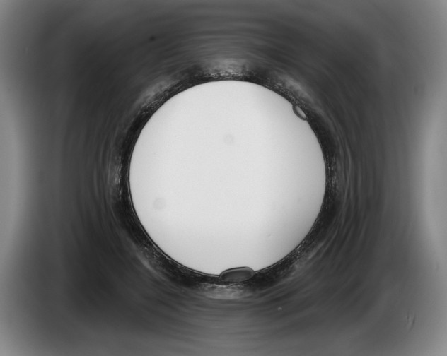 X0000083530548200703091514